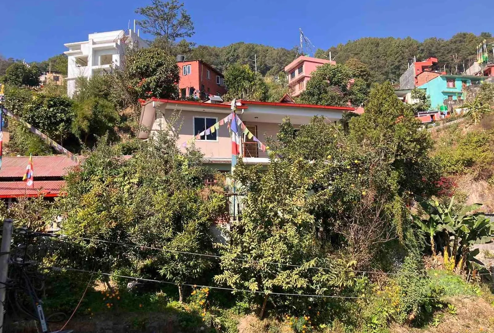 Sacred Trails Budhanilkantha Homestay 加德满都